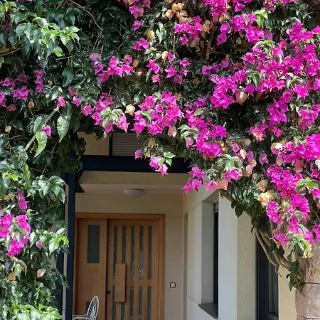 Villa Gestiona2r- Casa Grande 12 En 6 Jardin Y Espacio Exterior *