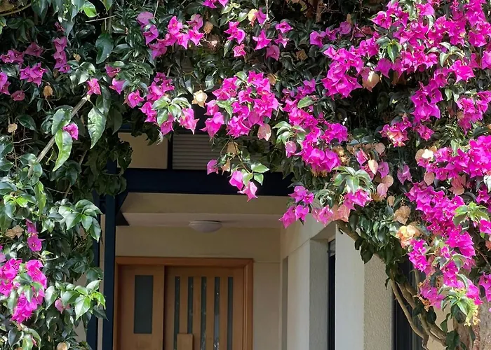 Villa Gestiona2r- Casa Grande 12 En 6 Jardin Y Espacio Exterior *